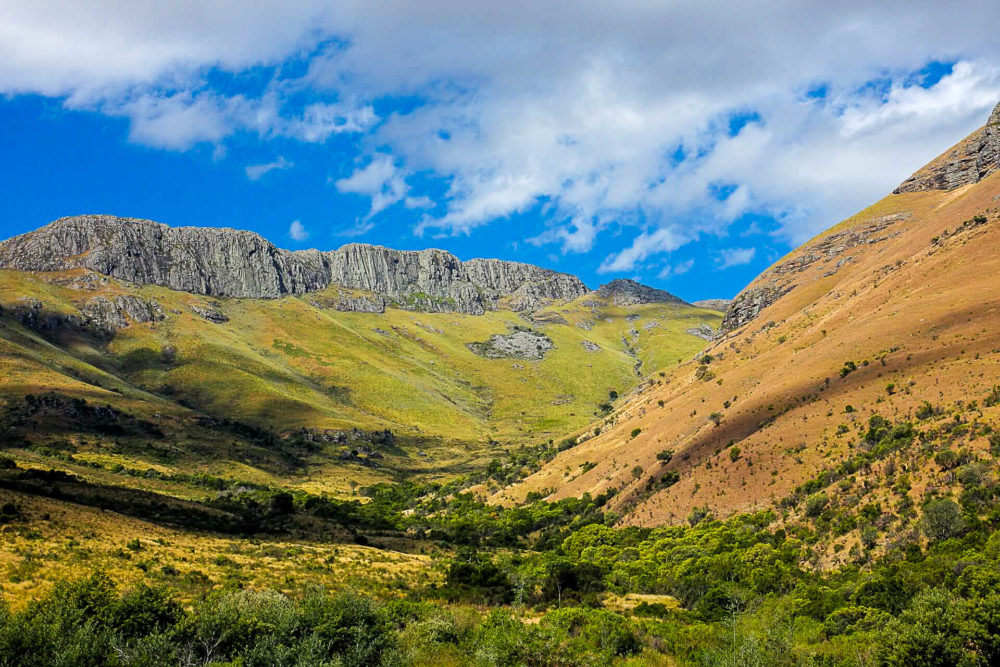 Institutional And Financial Analysis